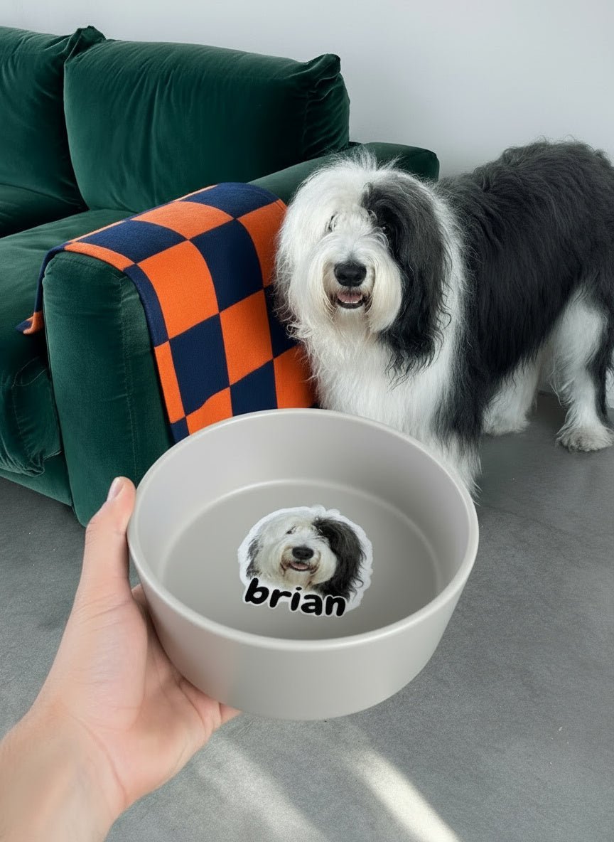 Classic Ceramic Pet Bowl - Poto Pata - 