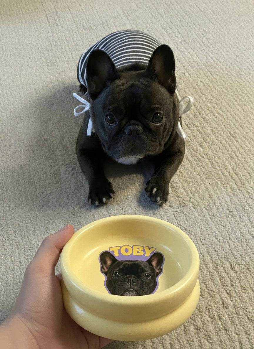 Double Donut Ceramic Pet Bowl - Poto Pata - 