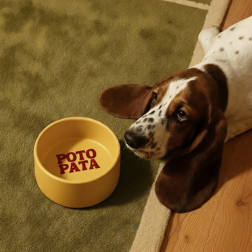 dog with custom pet bowl from poto pata